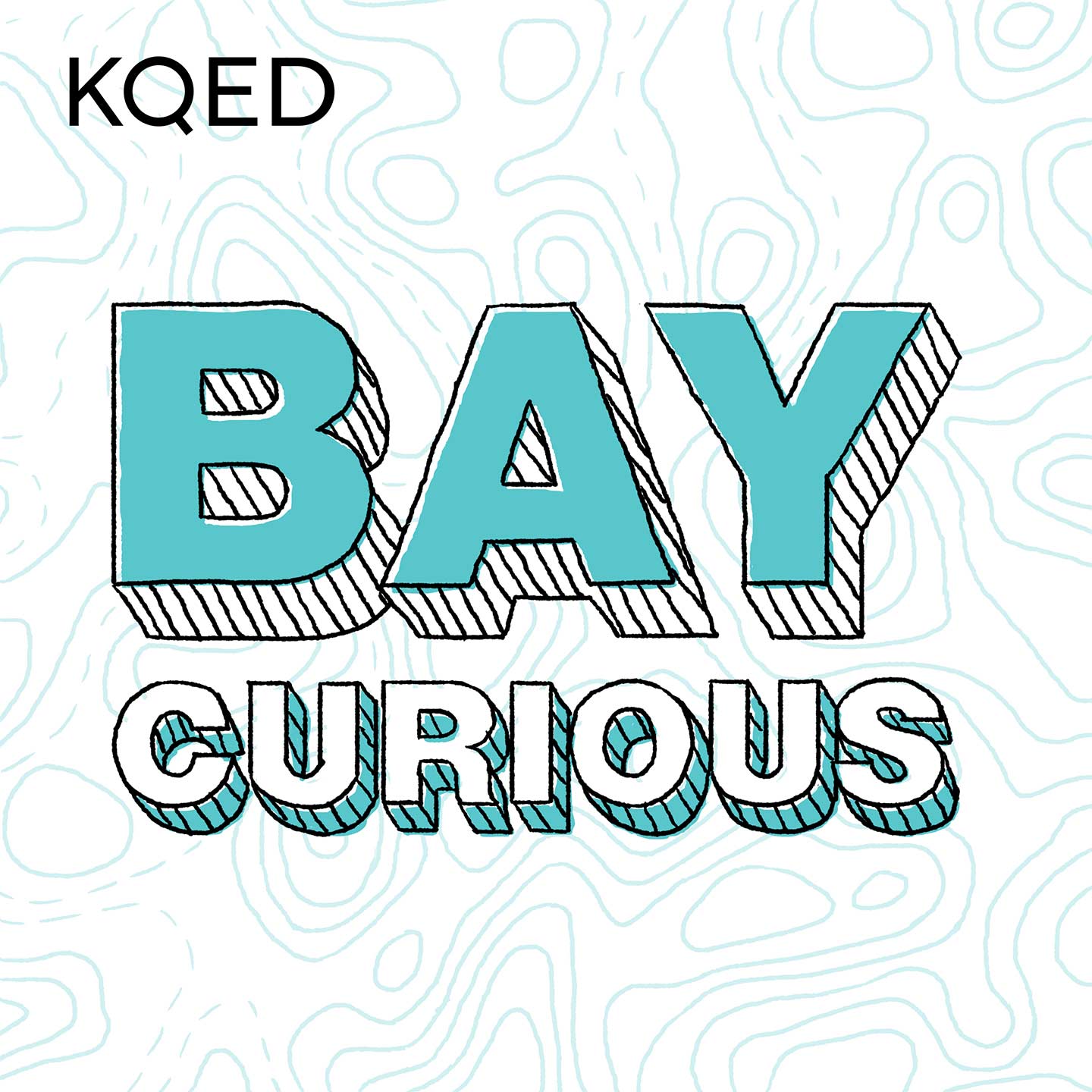 Bay Curious