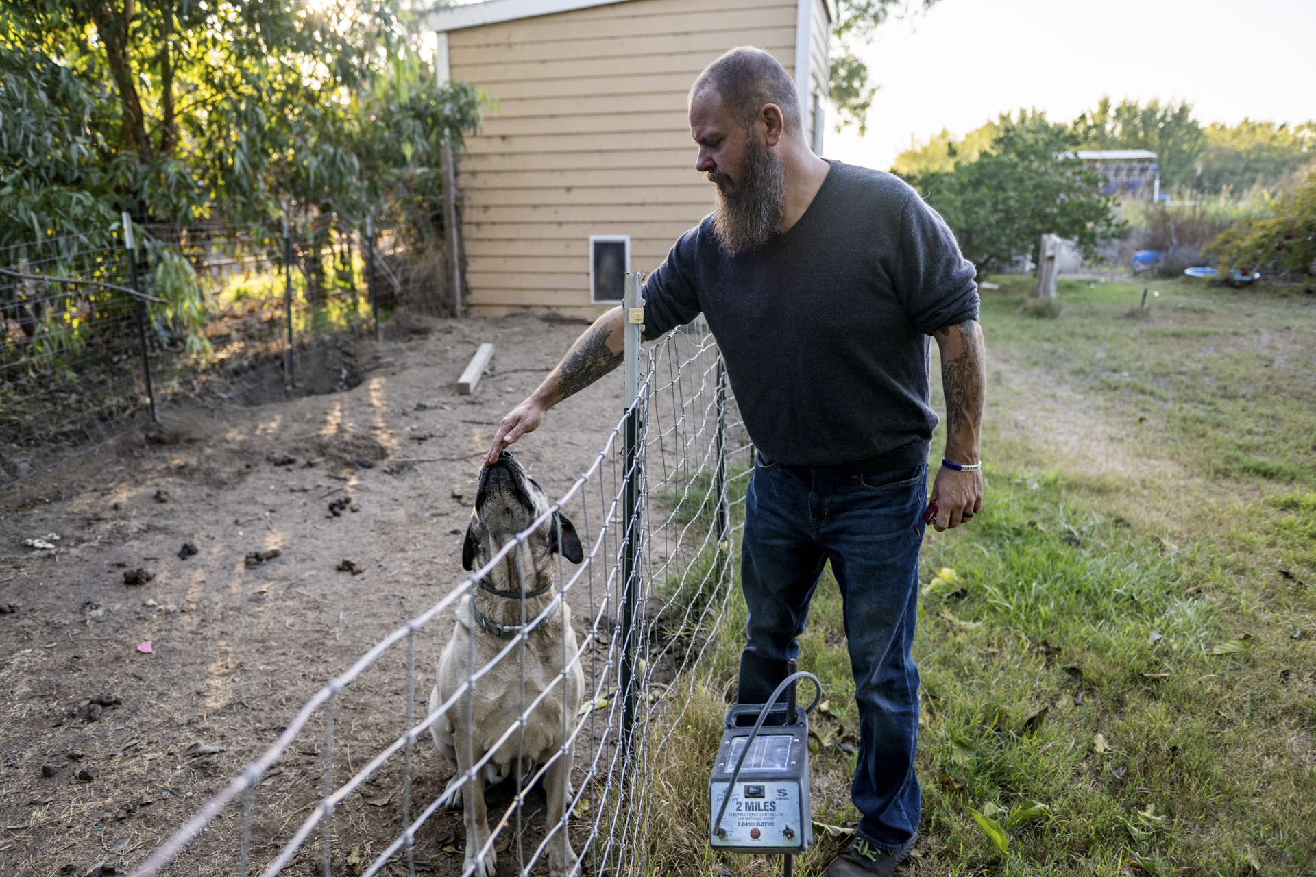 A middle-aged white man with a long, scraggly beard reaches over a chest-high wire fence to pet the nose of a white mutt, whose nose is in the air to reach the man's hand. They are surrounded by a scrubby lawn of dirt and grass, and sunlight filters through light green tree cover behind them, alongside a one-story shed with beige siding.